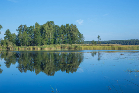 在里加，拉脱维亚 Jugla 湖。秋天，水和树木。2017
