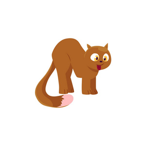 尾巴猫有趣的漫画刮痕墙落下下幽默的矢量我两个漫画猫时尚古怪卡通