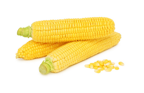 三个玉米芯上没有叶子(孤立的)照片