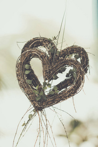 心形树是爱的象征，作为背景图像
