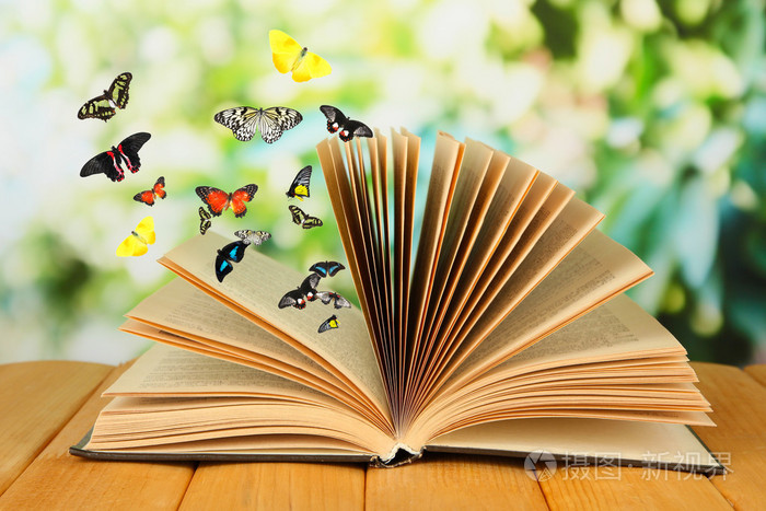 在木桌和蝴蝶本打开的书
