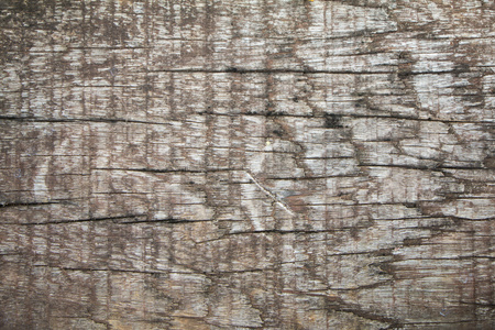 木材的纹理。含裂纹的老木
