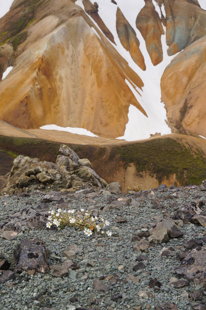 国家公园 Landmannalaugar，冰岛的山谷