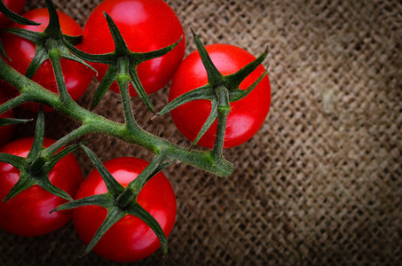 新鲜采摘的葡萄西红柿