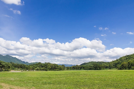 绿草场乡村景观