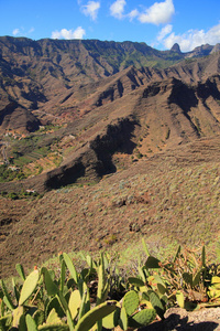 山风景