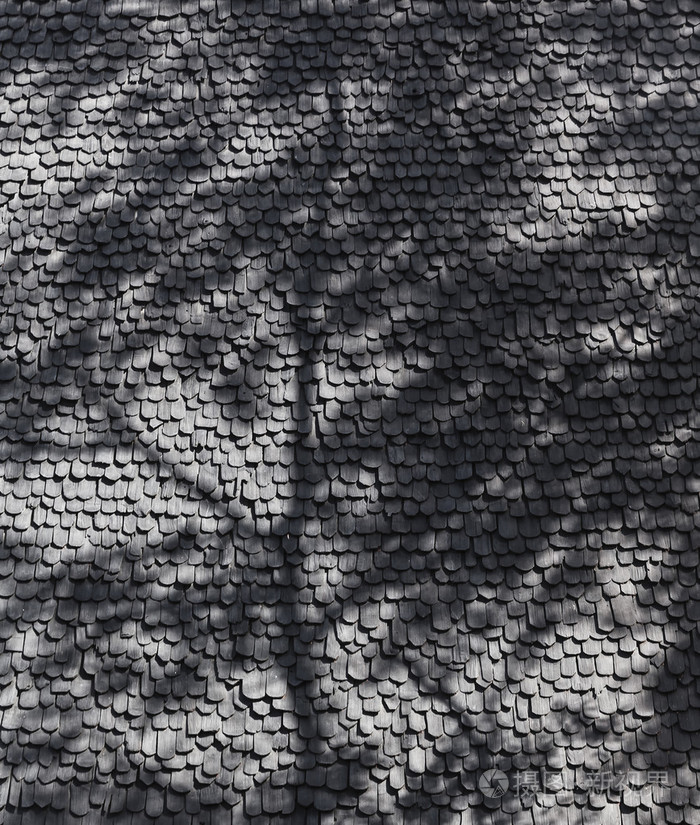 叶自然抽象背景墙上的影子