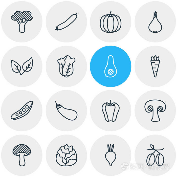 矢量图的 16 蔬菜图标.可编辑包白菜, 西葫芦, 地中海和其他元素