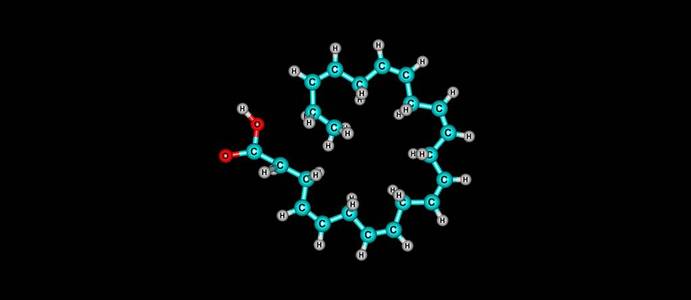 二十二碳六烯酸的分子结构上白色孤立照片
