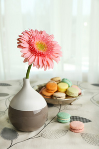 颜色非洲菊花卉花瓶和蛋白杏仁饼干