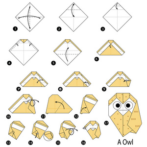 一步一步的说明如何使折纸猫头鹰