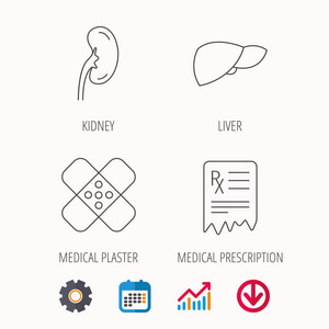 肝 医疗的石膏和处方图标