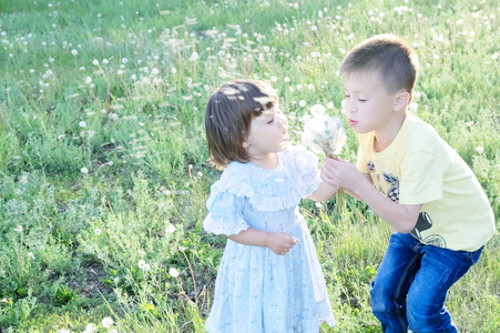 孩子们在夏天在公园里吹蒲公英的花。快乐的可爱男孩和小女孩一起享受大自然