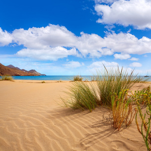 阿尔梅里亚普拉亚 Genoveses 海滩 Cabo de Gata