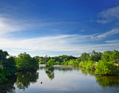 湖泊风景