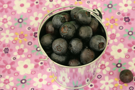 有机桶中的蓝莓会产生柔软的选择性聚焦