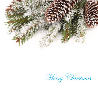 冰雪覆盖的和分支的白色背景上的一棵圣诞树。圣诞节背景以及放置文本的位置