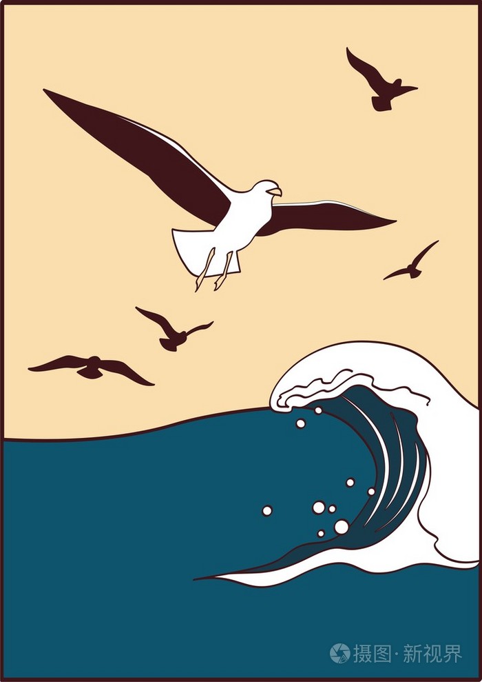 海鸥乔纳森插图图片