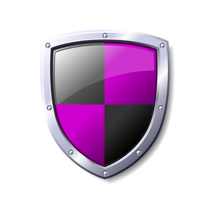 紫色和黑色护盾