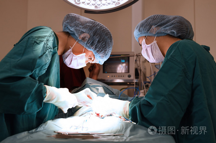 两名兽医外科医生在手术室里