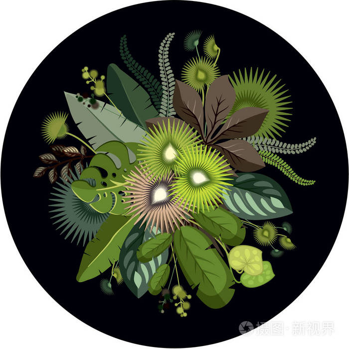 充满异国情调的叶子的植物插图