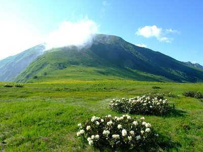 高加索山脉