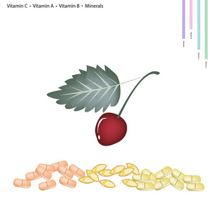 红樱桃含维生素 C，A B 和矿物质