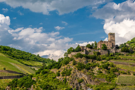 Gutenfels 城堡和葡萄园