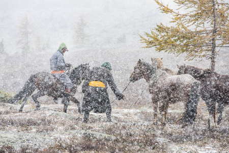 蒙古骑兵的马在暴风雪中图片