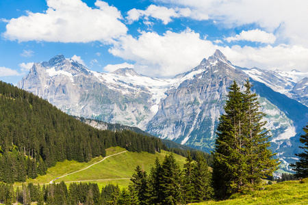 Schreckhorn，瑞士的阿尔卑斯山的视图