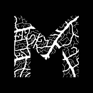 白字黑底牌照图片