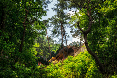 在山寺