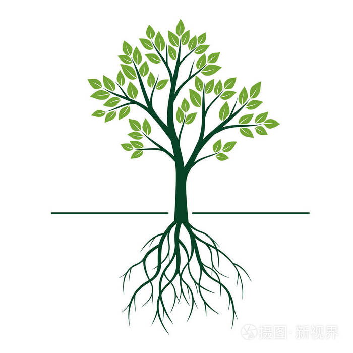天然绿树与叶子和根矢量图
