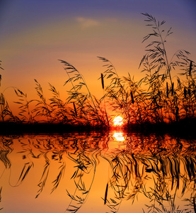 草上的夕阳的天空背景在湖里的水