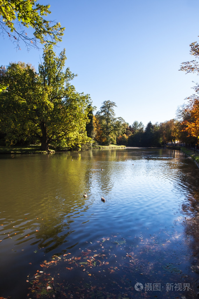 景观河流和树木在阳光灿烂的日子
