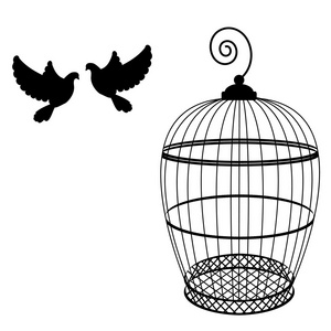 两只鸽子图片-两只鸽子素材-两只鸽子插画-摄图新视界