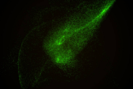 由绿色发光粒子的抽象背景