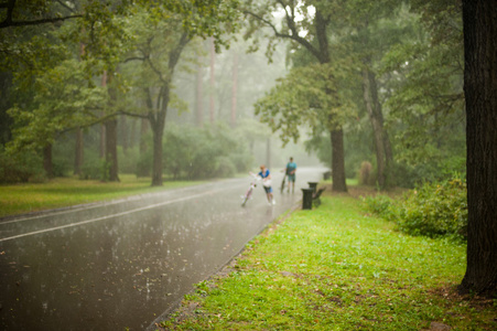 在森林下雨天图片