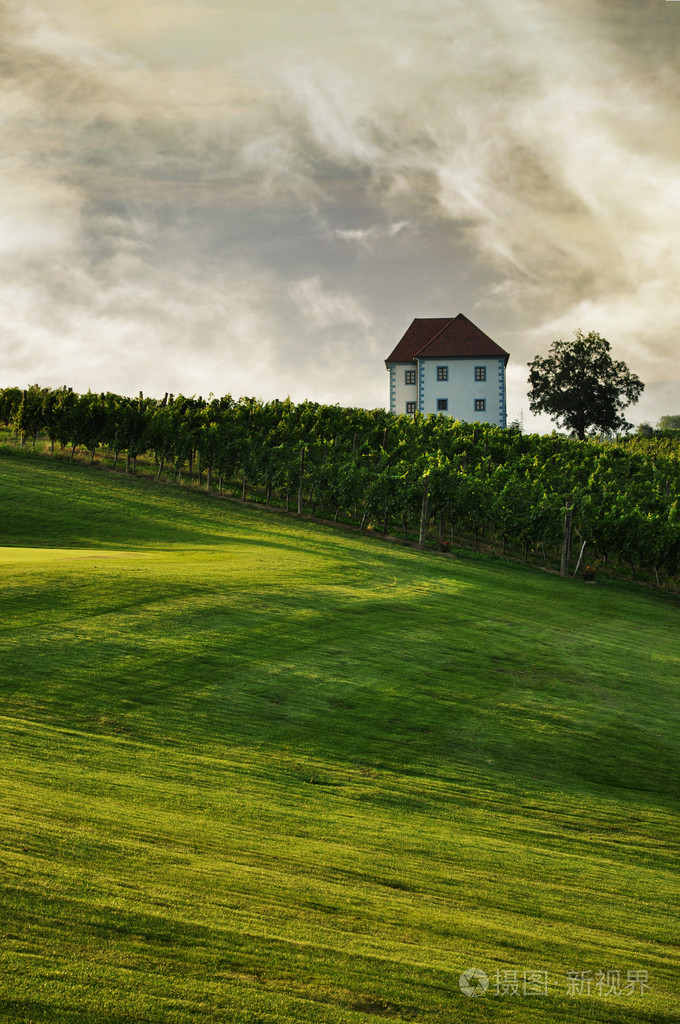 在葡萄园的房子. kalce,斯洛文尼亚