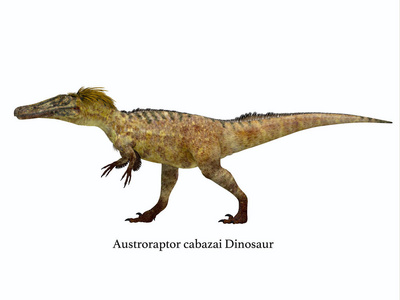 Austroraptor 恐龙侧剖面