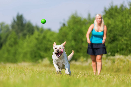 女人和一只狗在草地上玩
