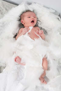 刚出生的婴儿，在白色棉花和羽毛