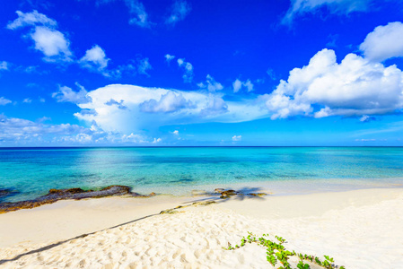 沙质海滩加勒比多米尼加