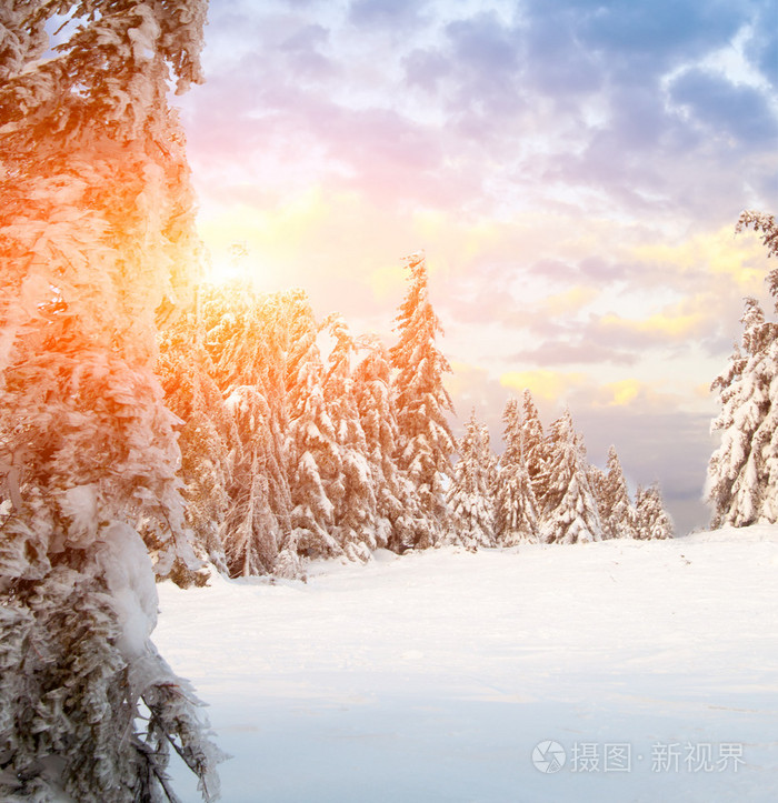 阳光灿烂的日子在冬天山
