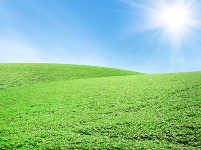 美丽的夏天风景