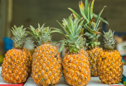 堆的菠萝堆的菠萝背景照片