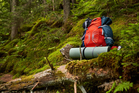 在森林里的木制长凳上旅行背包。户外旅行癖的项目。旅游 观光与野营设备