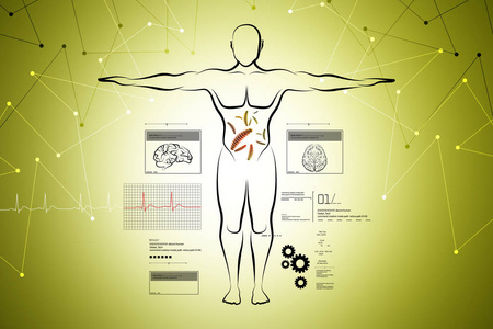 人体素描的数字插图照片