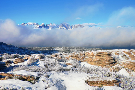 岩石峰值的木条山在阳光明媚的冬日。冷冻的蓝莓和岩石在新鲜的粉雪下
