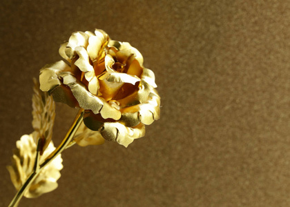 玫瑰首饰图片-玫瑰首饰素材-玫瑰首饰插画-摄图新视界